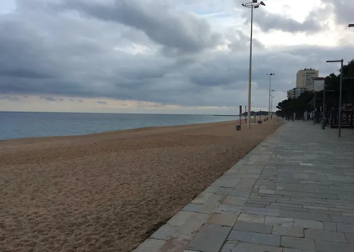 Estudio Cerca Del Mar Con Terraza * بلاتجا ذارو